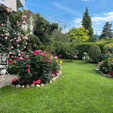 Klosterblick * Ohningen